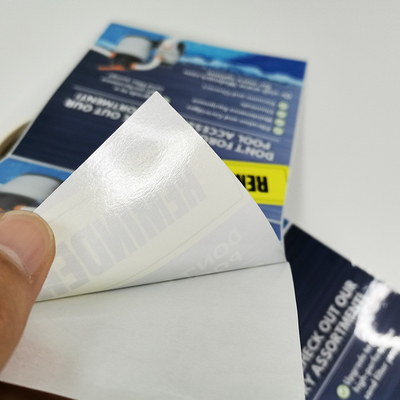 Matte Waterproof Custom Die Cut-Stickers CMYK die Verwijderbaar Zelfklevend Vinyl drukken